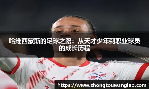星空·综合体育官方网站